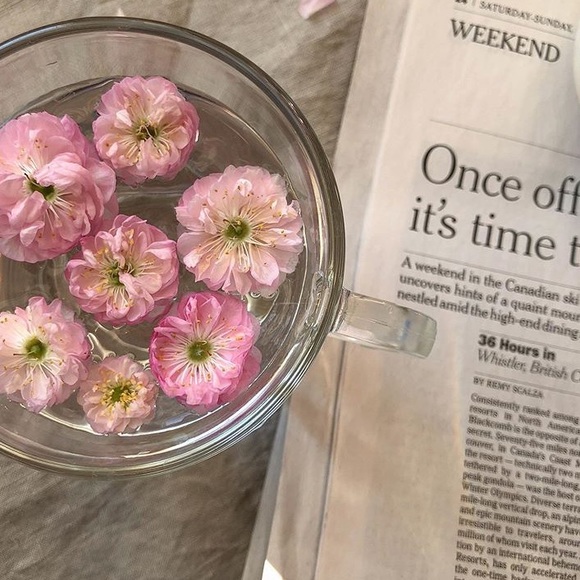 Meet your Posher, Kelly - Picture 1 of 1